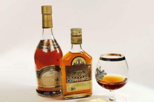 上海酒類批發許可證辦理所需材料與流程指南