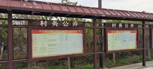 陽光下的承諾 霍邱縣夏店鎮(zhèn)磚佛寺村公告欄的村務(wù)公開紀(jì)實(shí)